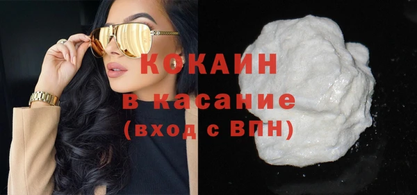индика Карталы