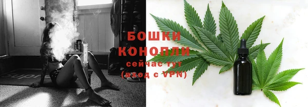 индика Карталы