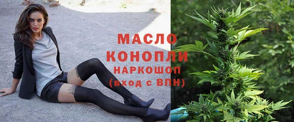 индика Карталы