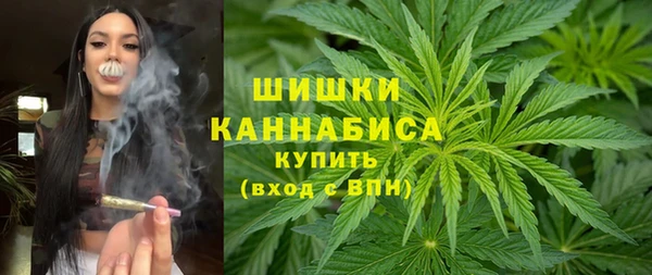 индика Карталы