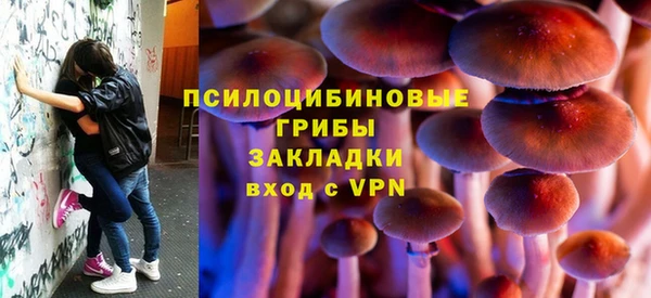 амфетамин Каменка
