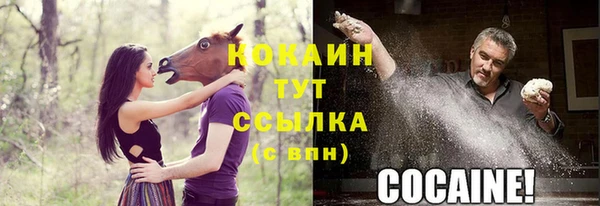 амфетамин Каменка