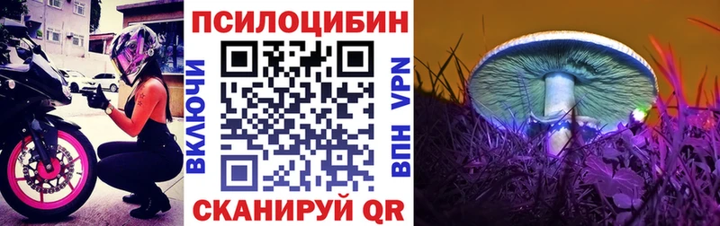 Купить  Калач-на-Дону  Галлюциногенные грибы MAGIC MUSHROOMS 